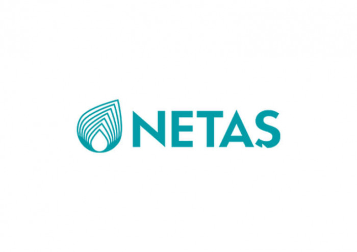 NETAŞ